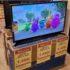 Smart TV LED 24″ Philco PTV24G50SN Conversor Digital HD com 2 HDMI