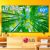 Smart TV 60” 4K LED LG 60UQ8050 AI Processor – Wi-Fi Bluetooth HDR Alexa Google Assistente 3 HDMI