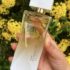 Una Blush Deo Parfum 75 ml