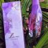 Kaiak Feminino 100 ml